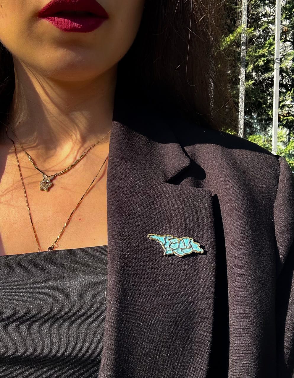 ბროში "საქართველო"